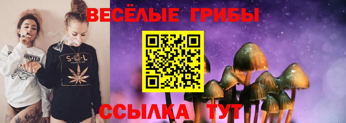 Псилоцибиновые грибы мухоморы  Вход с VPN  Дмитров 